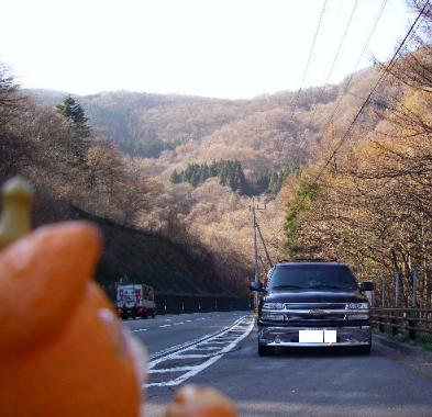 ほんの少し紅葉してました