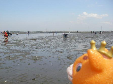 富津海岸で潮干狩り♪