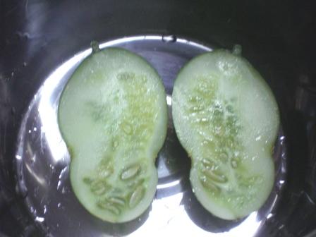 丸い物体の正体　７月１３日