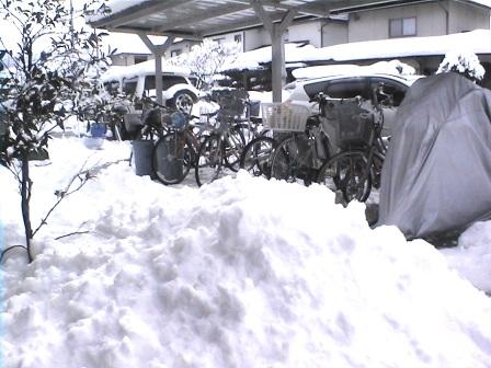 雪かきすると　こんな感じぃ～～～