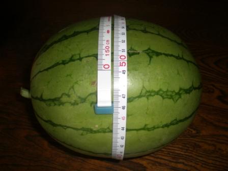 小玉スイカ（黄）　７月２６日２