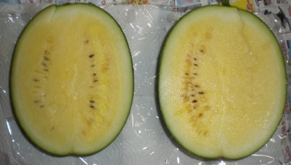 小玉スイカ（黄）　７月２７日１