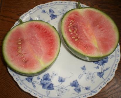 小玉スイカ　７月１４日２