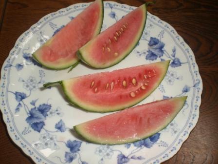 小玉スイカ７月１４日３