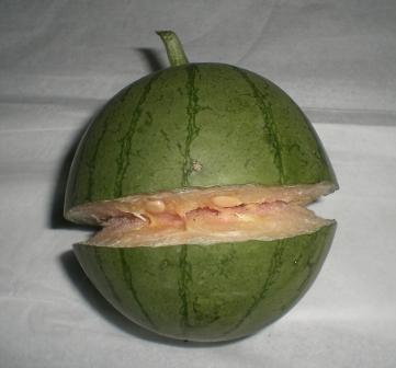 小玉スイカ７月６日２