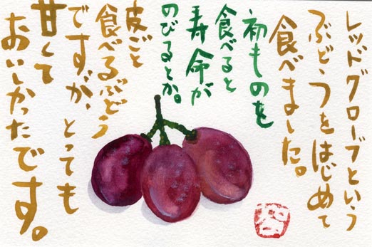 2011_5grape2.jpg