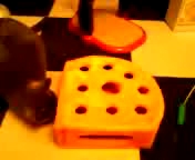 誕生日プレゼント( フライング)