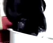 ホットマットよりも。