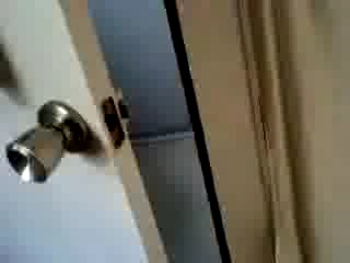 ミュウのトイレ