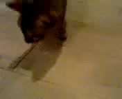 ファイナルマッチ♪