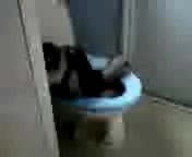 ミュウのおしっこ動画