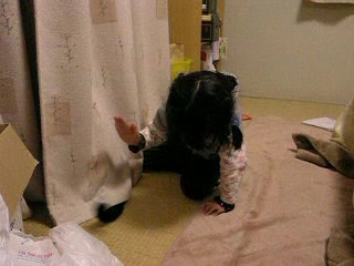 【動画】遊んでいるのか？遊ばれているのか？　＾＾；。