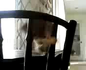 対バッタ戦を受けて