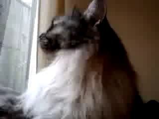 なっ、何撮ってんだ！