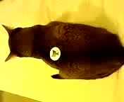 まだ気づかないの？