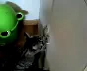 今度は戸棚を開けますよ