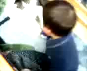 猫と戦うはーくん