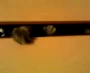 ちょっと開けますよ