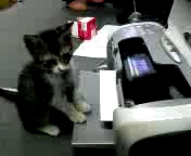 うちのアイドル・・・たまきち