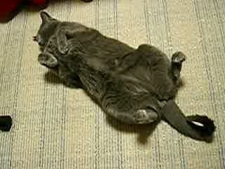 弟・tetsu達帰る (゜▽゜；) ... あみ♪動画Photo ★