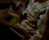 リアルぐーぱー・ＮＥＷ首輪♪