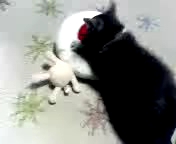 危うし！目玉オヤジ！