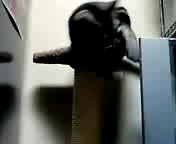 【動画】とにかく一生懸命！