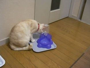  さらに動かす・・・