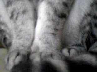 パタパタと・・・