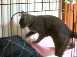 姫ちゃんトイレの後は..