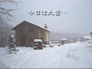 ♪猫は薪ストーブでの～びっのび♪ 【猫ムービー】