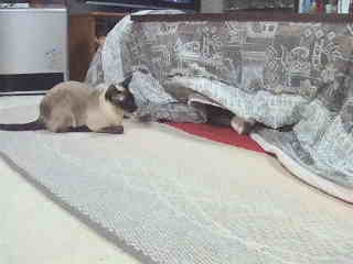 そっちかよ！！