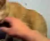 うふっ(￣ｍ￣)【ソラ君動画】