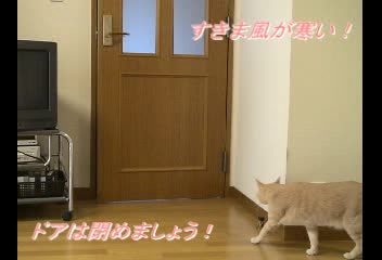 すきま風が寒い　ドアは閉めましょう！
