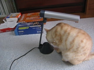 電気スタンドつけたり消したり・・・