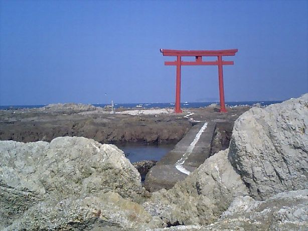 najimatorii.jpg