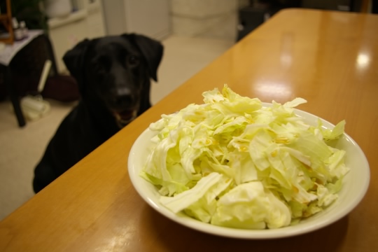 cabbage.jpg