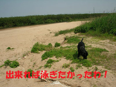 iinashi_river03.jpg