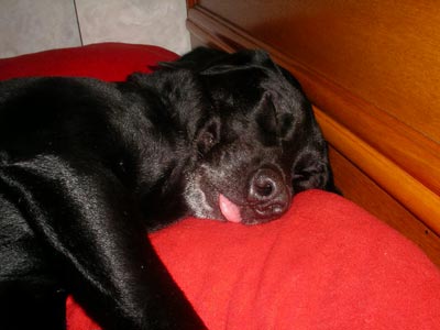 sleeping_matsu03.jpg