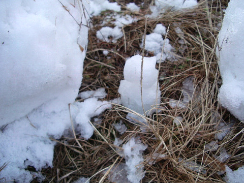小さな雪だるま