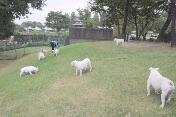 ジェームズ一家