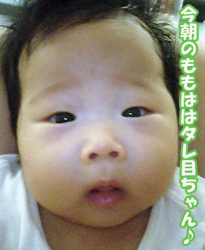 たれ目.jpg