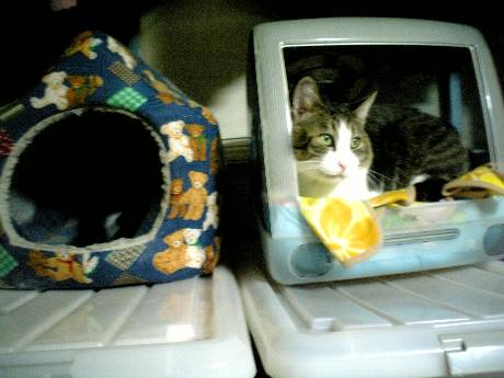 場所逆じゃん！