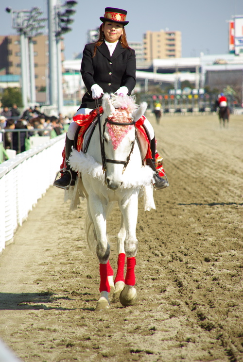 2008-02-27川崎競馬場