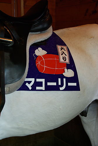 マコーリー7.jpg