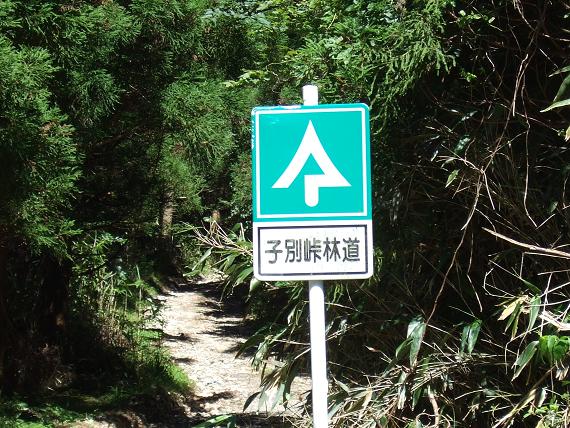 子別峠林道.jpg