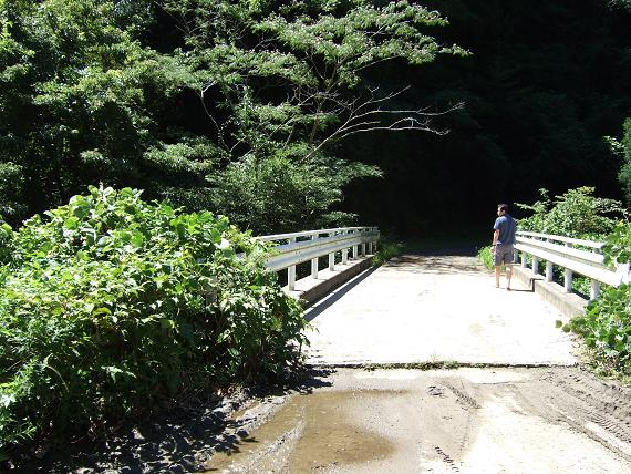 あざみ谷林道入口.jpg