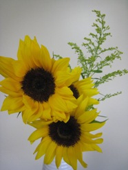 IMG_6086.JPG