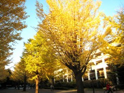 IMG_3054.jpg