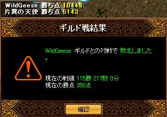 10.31　対　WildGeese.JPG